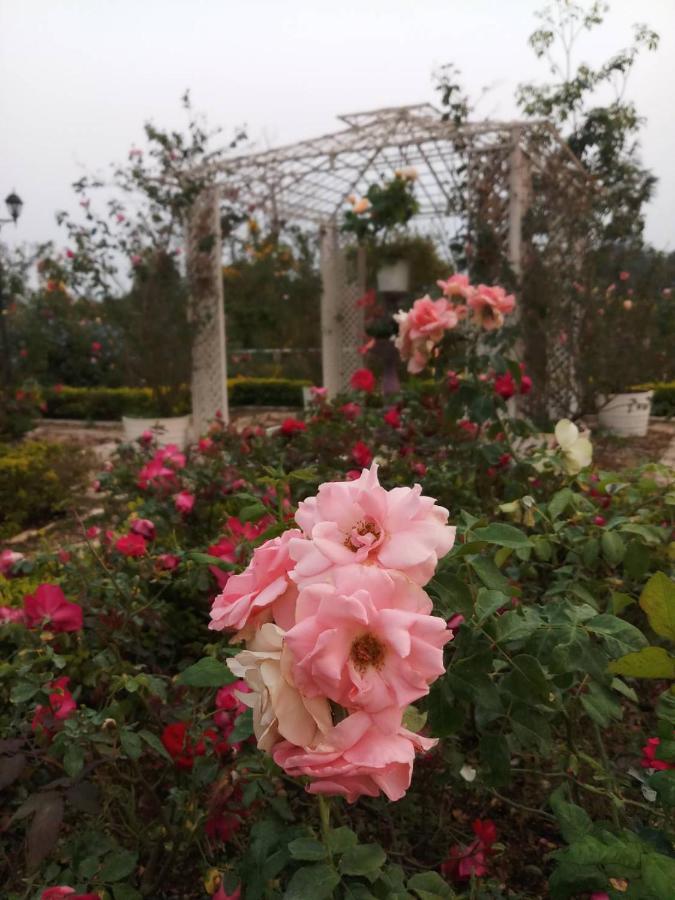 Le Jardin De Maejo Bed & Breakfast Chiang Mai Luaran gambar