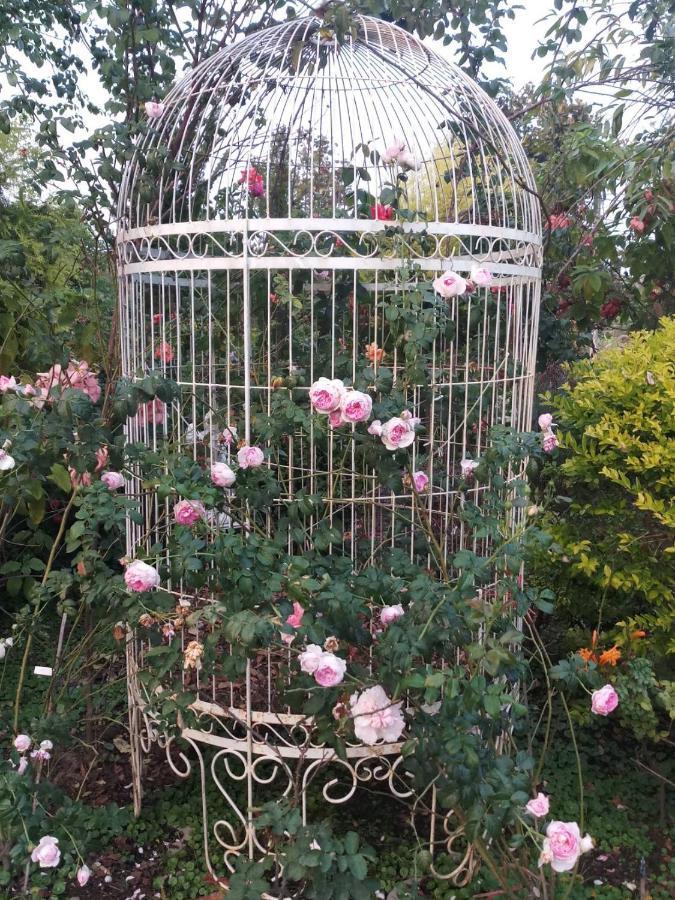 Le Jardin De Maejo Bed & Breakfast Chiang Mai Luaran gambar