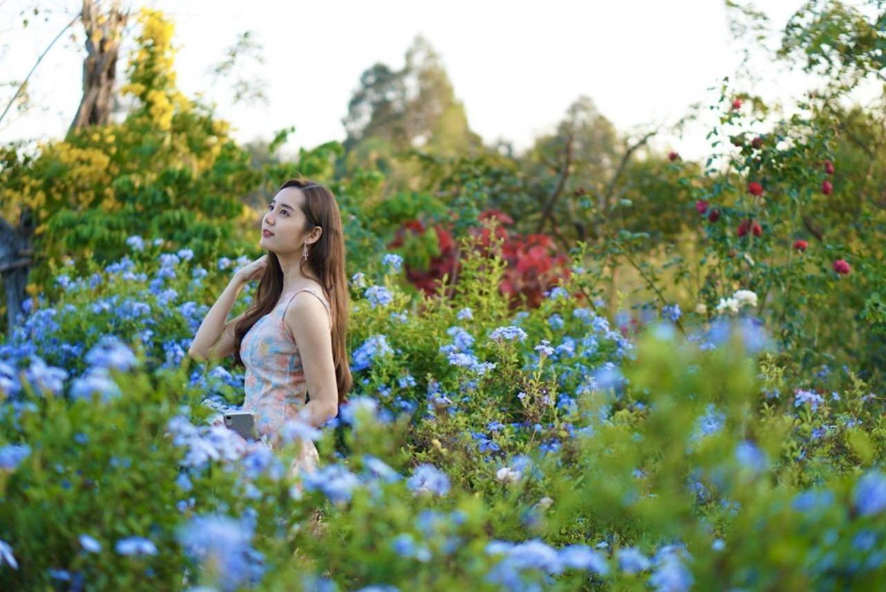 Le Jardin De Maejo Bed & Breakfast Chiang Mai Luaran gambar